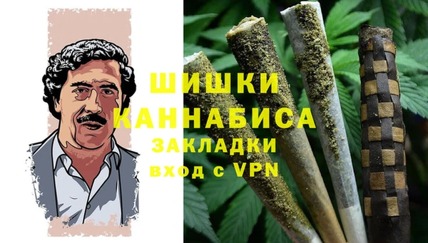 гидра Лихославль