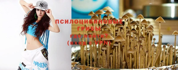 спайс Аркадак
