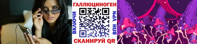 Галлюциногенные грибы Cubensis  сайты даркнета состав  Краснодар 
