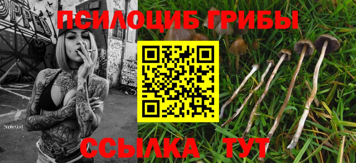 Галлюциногенные грибы мухоморы  Краснодар 