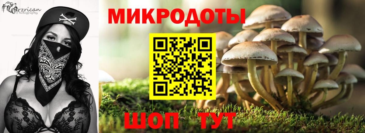 Псилоцибиновые грибы мицелий  Вход с VPN  Галлюциногенные грибы GOLDEN TEACHER  купить наркотики сайты  Краснодар 