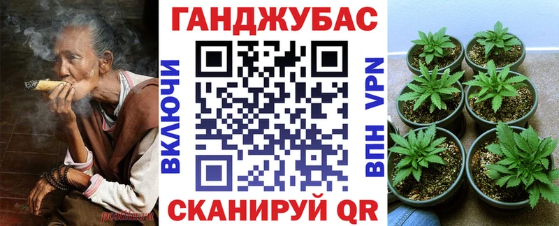 где купить наркоту  Краснодар  Марихуана гибрид 